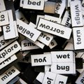a jumbled pile of magnetic poetry words